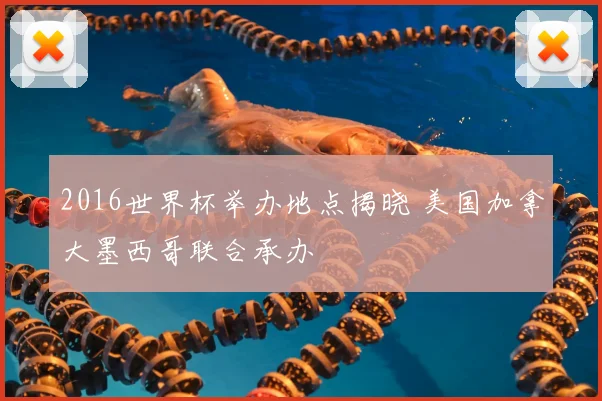 2016世界杯举办地点揭晓 美国加拿大墨西哥联合承办