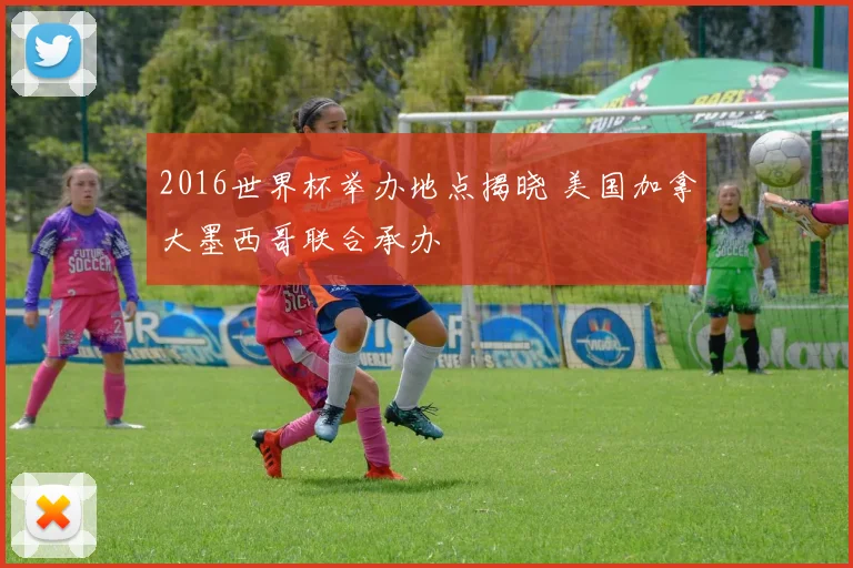 2016世界杯举办地点揭晓 美国加拿大墨西哥联合承办