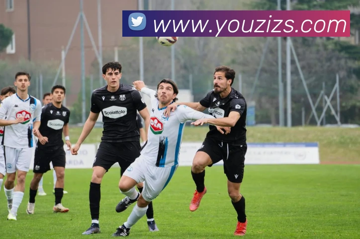 球赛押注app官网服务体系